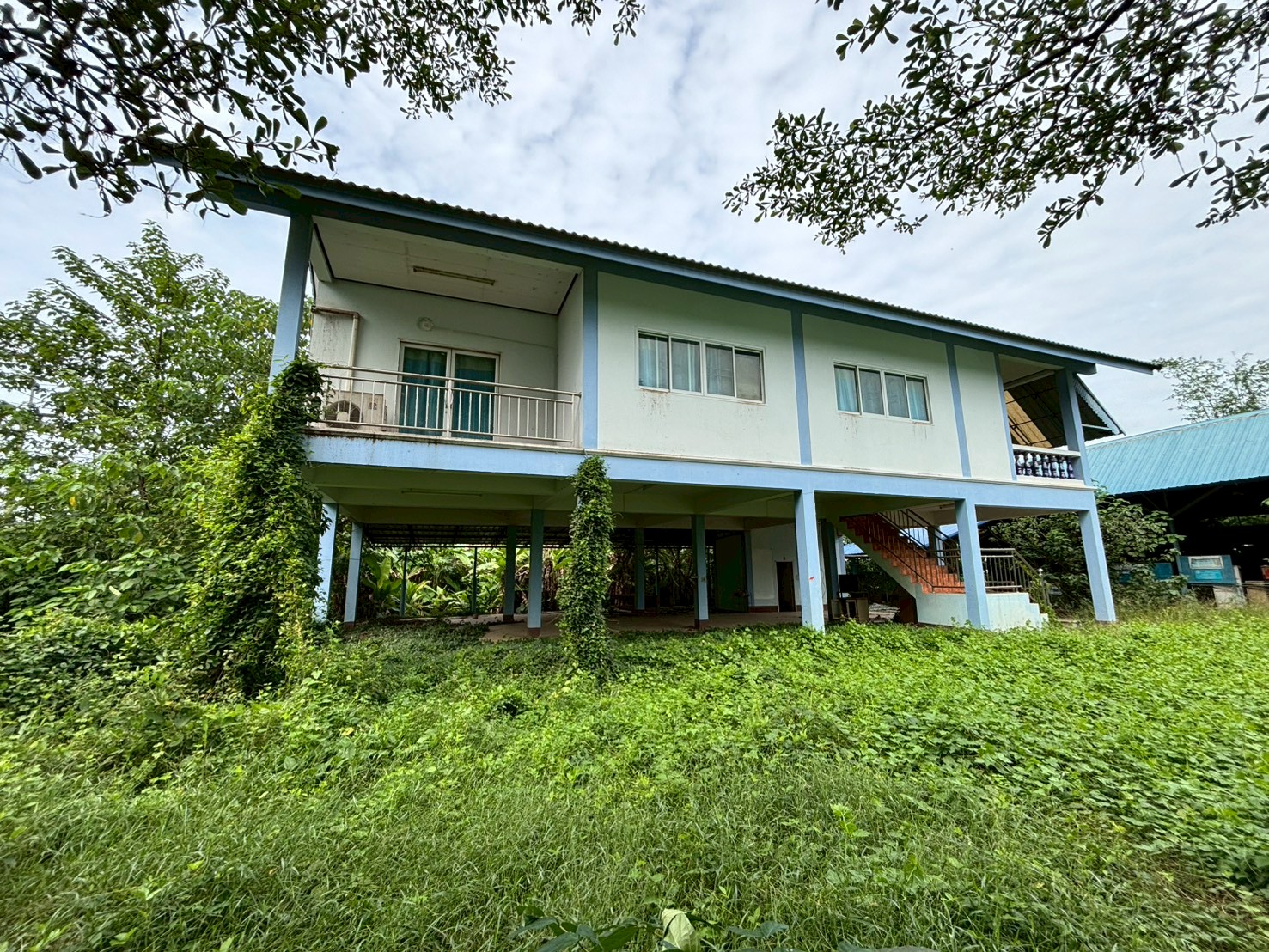บ้านเดี่ยว : นอกโครงการพิษณุโลก